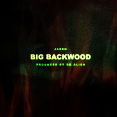 🌋 BIG BACKWOOD 🌋 (produced by Dr. Alien)