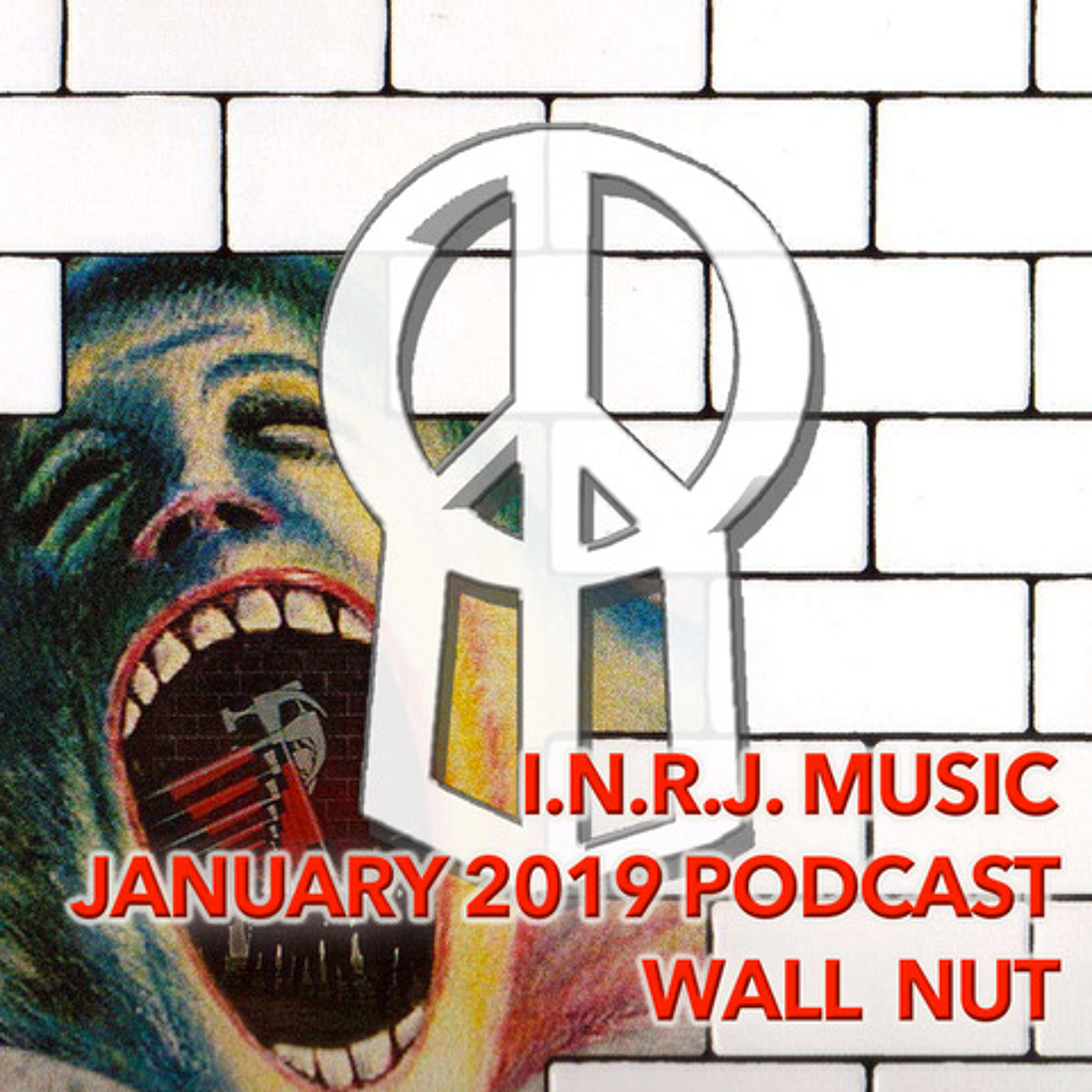 Wall Nut episode artwork
