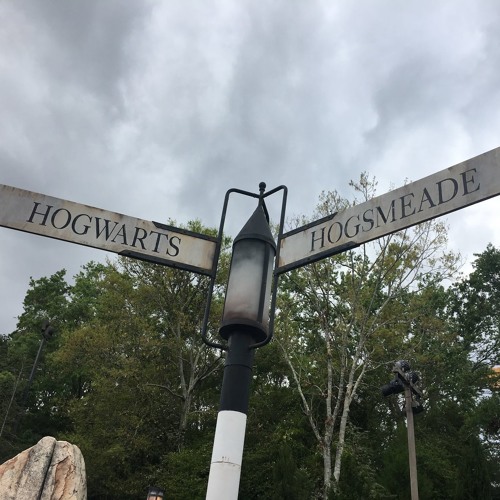 Stream Hedwig S Theme Vst Mockup By Gabriel Di Fini Listen Online