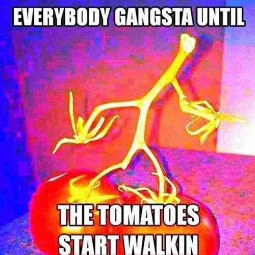 Battle Against a Scrumptious Treading Tomato