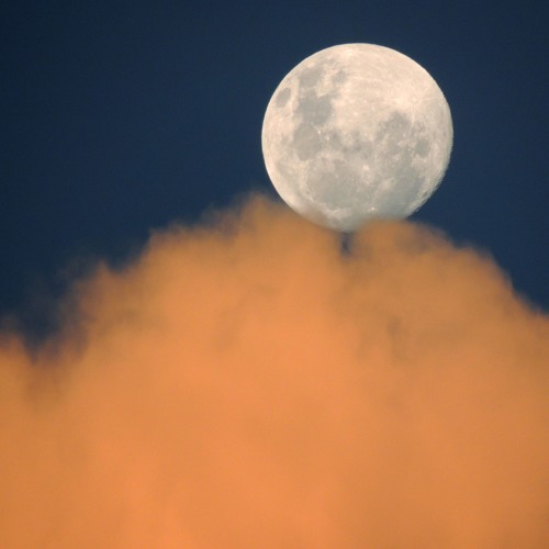 Brandon~Moontribe~Wolf Moon 2019