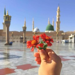 الذين يبلغون رسالات الله ويخشونه ولا يخشون أحدا إلا الله ۗ  | الأحزاب 💚#المنشاوي