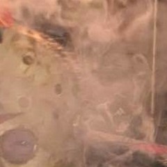 I Smoke Weed to Ease the Pain (Full Version)