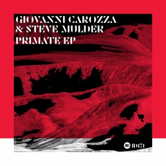 ID171. 1. Giovanni Carozza & Steve Mulder -Primate