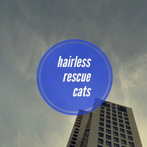 Stream hairless rescue cats by aerccu Listen online for free on