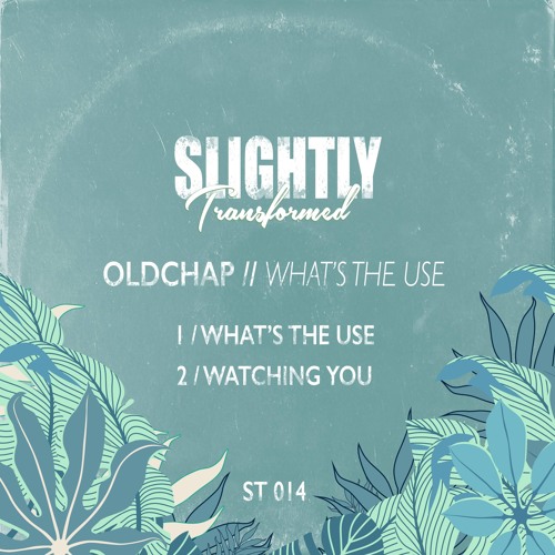 PREMIERE: Oldchap - Watching You