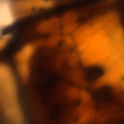 Tzusing - Teeth