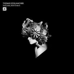 Thomas Schumacher - The Fuzz (Original Mix)