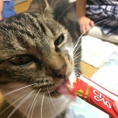 田中栄太 S Stream