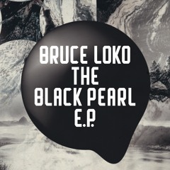 Bruce Loko - Sunset Over Water [Freerange Records] (96Kbps)