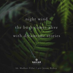 haiku #264: night wind / the bush comes alive / with dreamtime stories