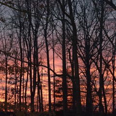 dusk