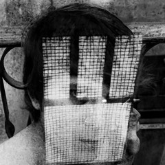 Scream XVII (the eight legs of the devil)