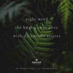 Naviarhaiku#264 /night wind