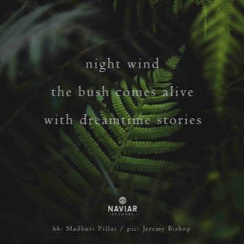 Naviarhaiku#264 /night wind
