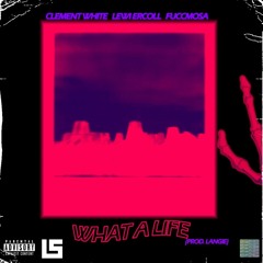 What a life ? (Ft Wntr & Lewi Ercoll) *prod Langie*