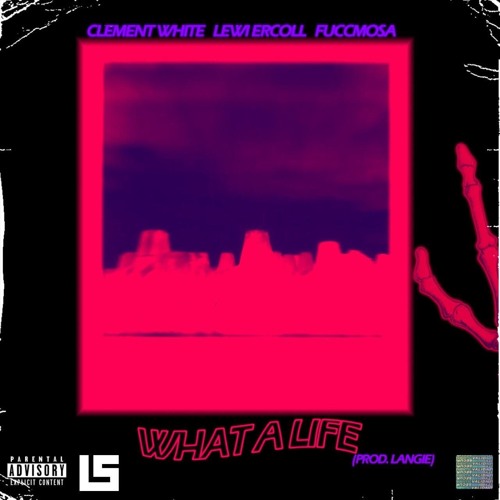 What a life ? (Ft Wntr & Lewi Ercoll) *prod Langie*