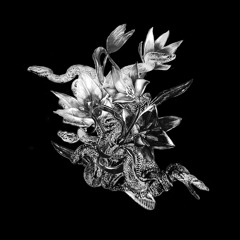 Black Haze by Сharlie