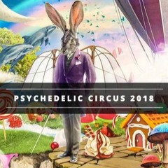 Nomatic @ Psychedelic Circus OA Festival 2018