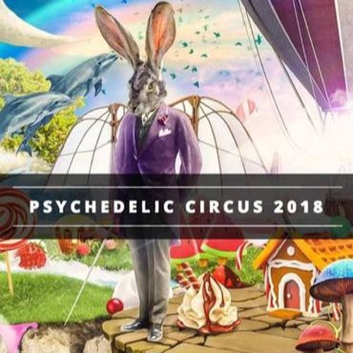 Nomatic @ Psychedelic Circus OA Festival 2018