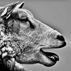 So funny you make me pee my pants