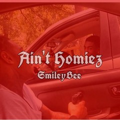 Aint Homiez