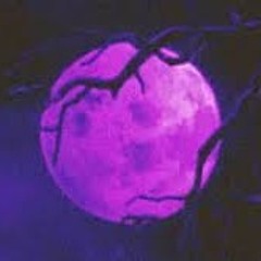 Holocene (Slowed+Reverb)