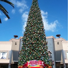 Christmas Jingle (fin)