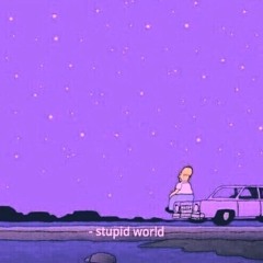 Stupid world