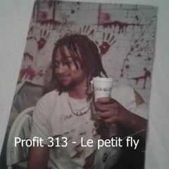 Profit 313 - Le petit fly [Prod. Hanto Beatmaker / Shrank Productions]