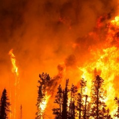 Brian Glo And Emry Present - Picture Perfect