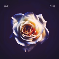 LIVO - Think