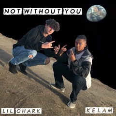 Not Without You (feat. KeLaM)