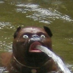 bork