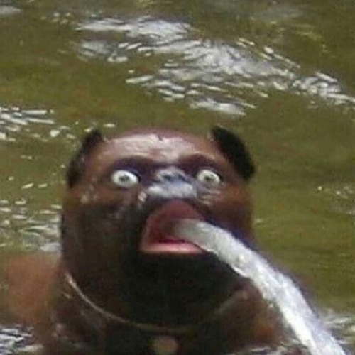 bork