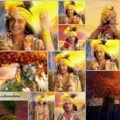 Krishna Ratnas - 94 - Where is love? (அன்பெனும் காதல் எங்குள்ளது)