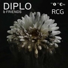 BHRIS - Diplo and Friends Mix