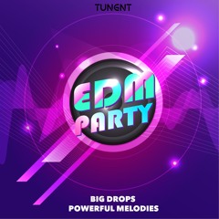 EDM tưng bừng list