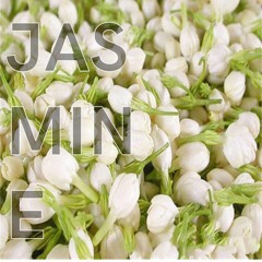 Jasmine (Orig Mix) *teaser*