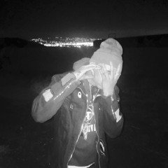 SHAKE EM FREE$TYLE