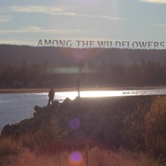 A Way Out (Lyrics in Info)