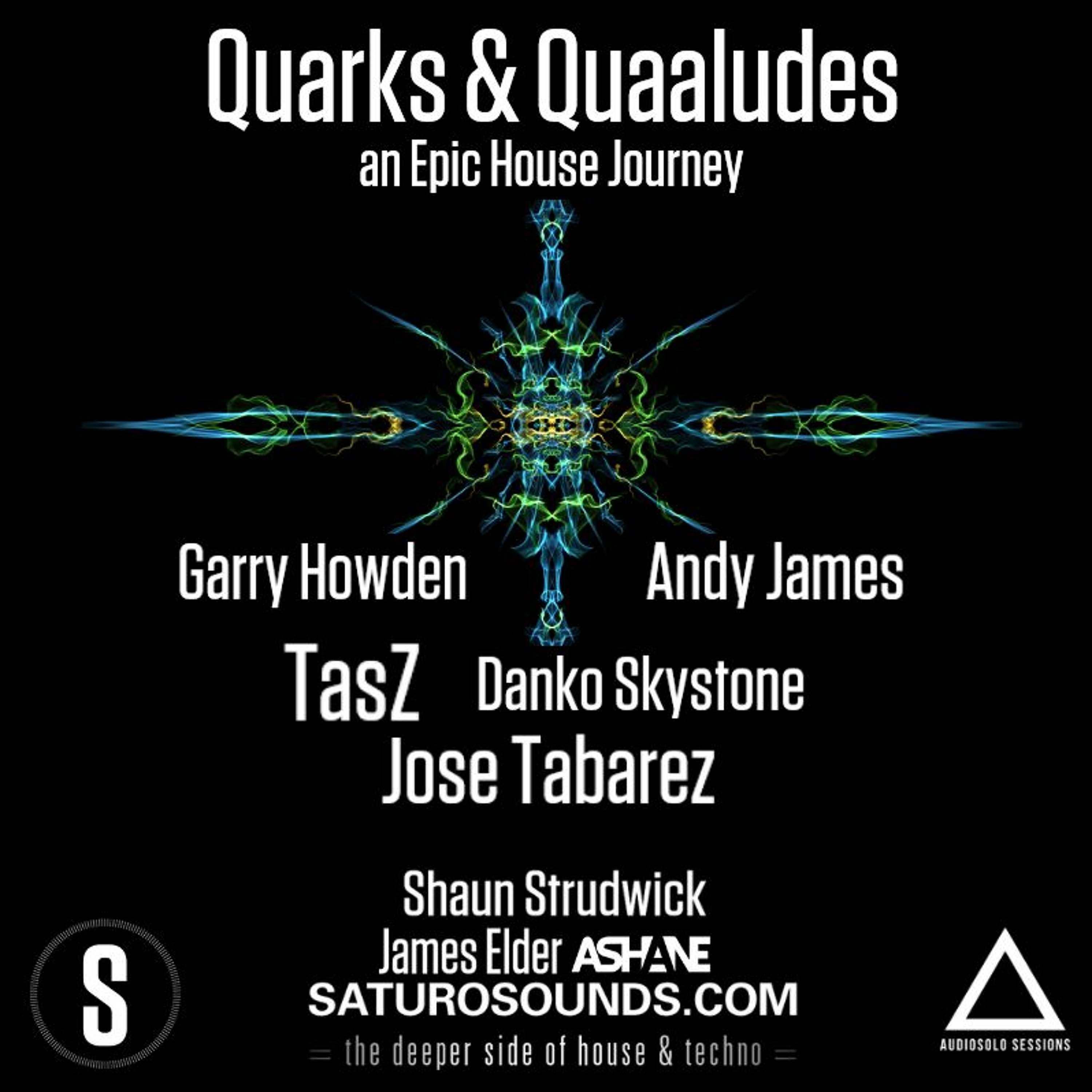 Quarks & Quaaludes #EpicHouseJourney