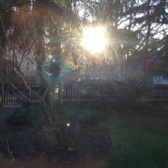 Dreams and Nightmares - Five Pieces for Orchestra