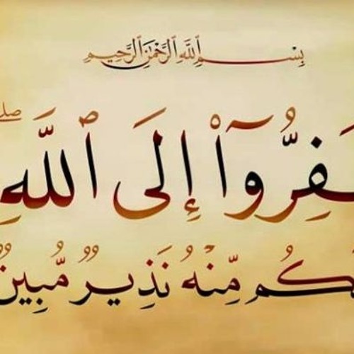 الشيخ محمود هاشم - خايف من ايه .. مالك