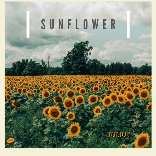 post malone sunflower download post malone sunflower download