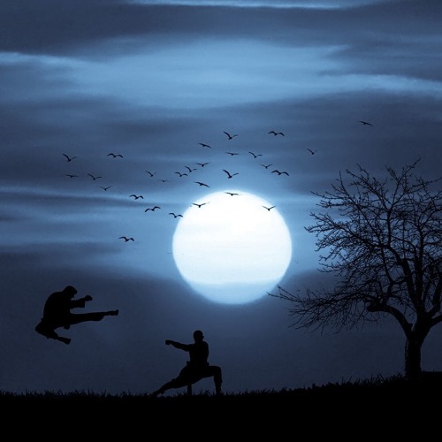 Artiskik - Kung Fu Time