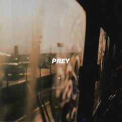 The Neighbourhood - "Prey" (acoustic cover)