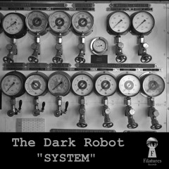 The Dark Robot - Electronic System