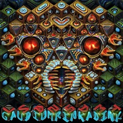 Gaudium - To Another Dimension - Rinkadink Remix