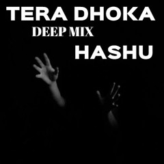 Tera Dhoka Deep Mix By HasHu